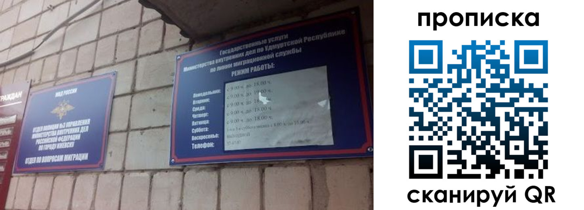 прописка 2025 в Пионерском